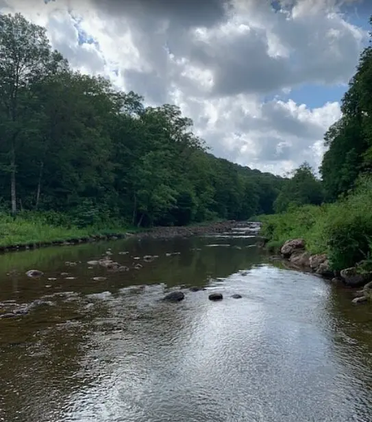 Monongahela National Forest