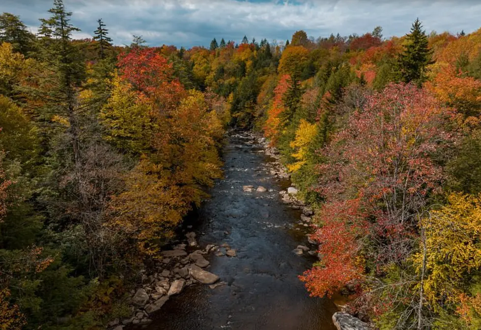 Blackwater Falls State Park