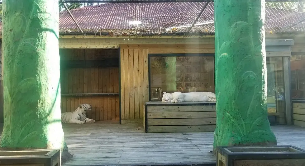 T.I.G.E.R.S. Preservation Station