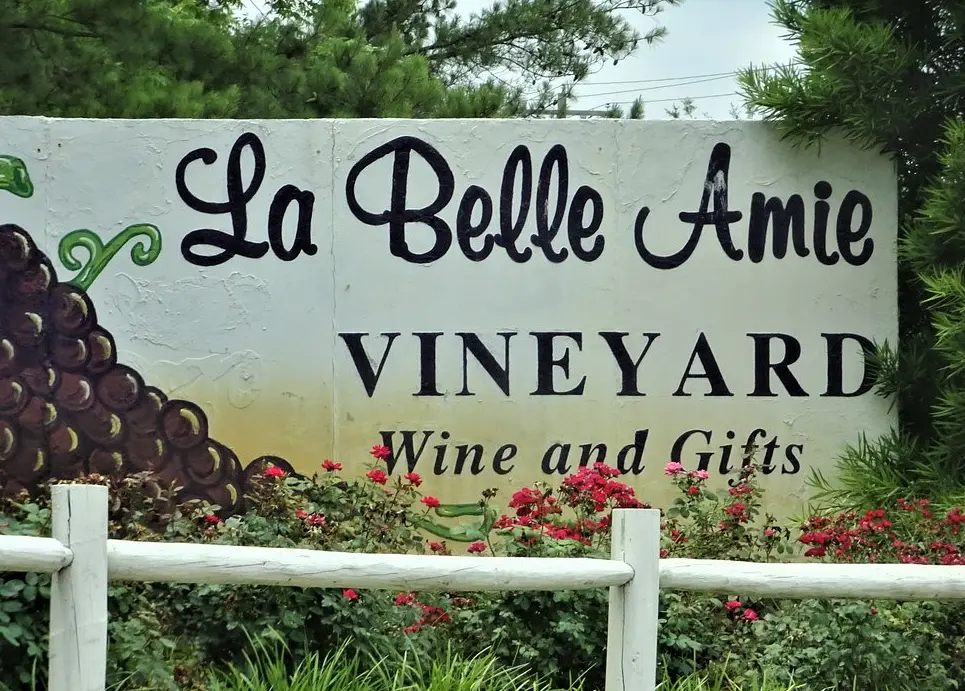 La Belle Amie Vineyard