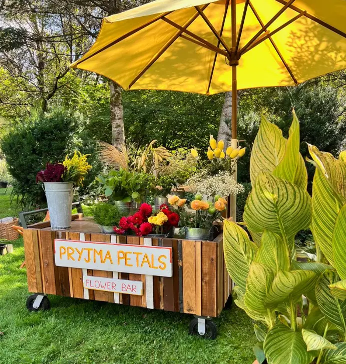 Sip, snip, and savor dahlias