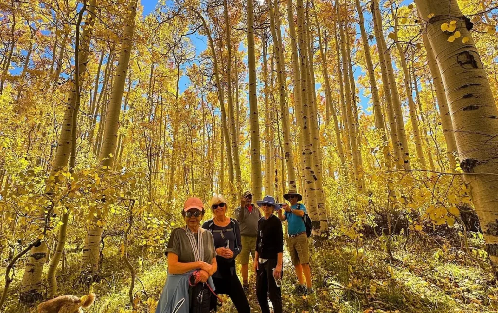 Privately Guided Scenic Mountain Hike