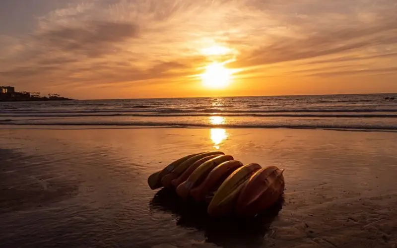 Kayaks rest on the sand during sunset at La Jolla Kayak’s Sunset Original Tour.
