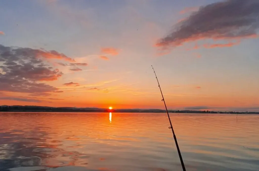 Fishing Tour with a Fishing Boat at Lake Constance