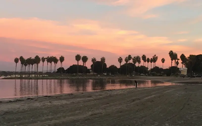 Palm trees line the shore at Mission Bay under a pink sunset sky.