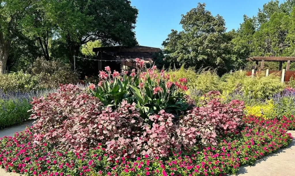 Colorful flower beds and greenery at Botanica Wichita on a sunny day.