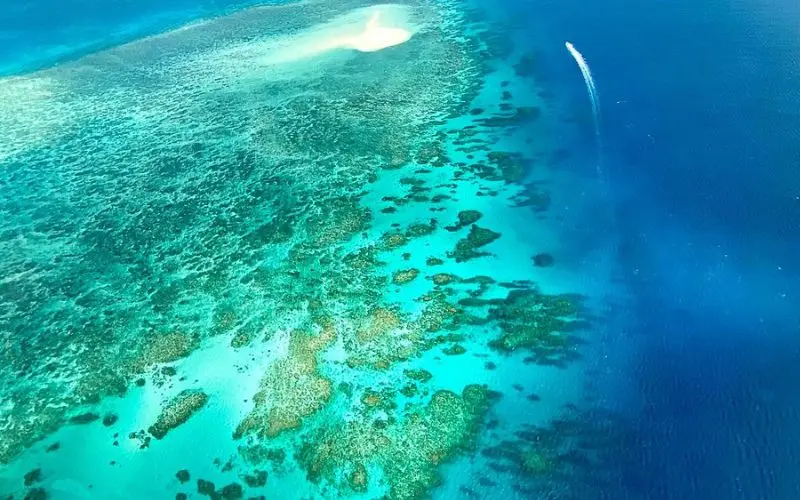 Aerial view of turquoise waters and coral formations at the Great Barrier Reef.