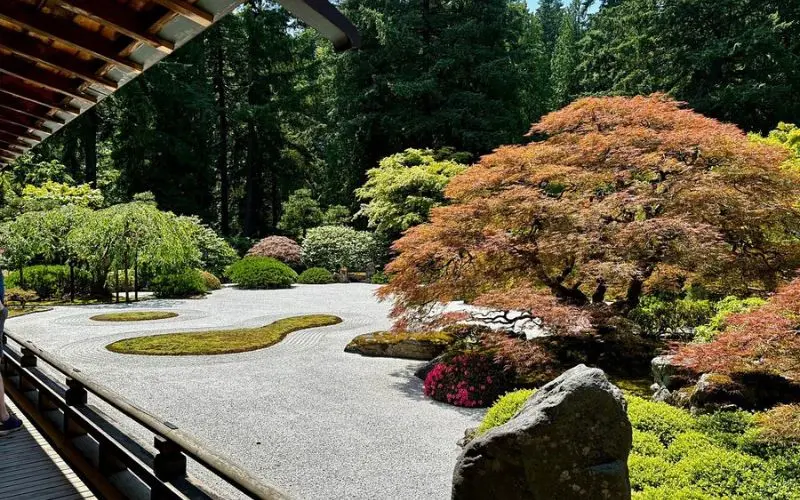 Peaceful landscape with raked gravel and maples at the Japanese Gardens.