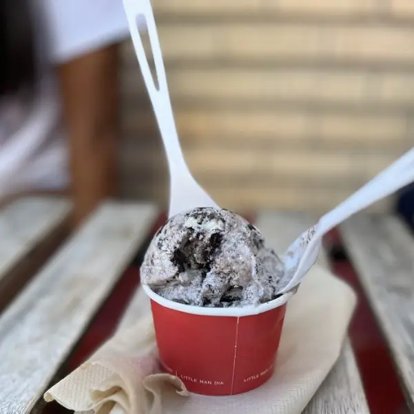 Salted Oreo ice cream