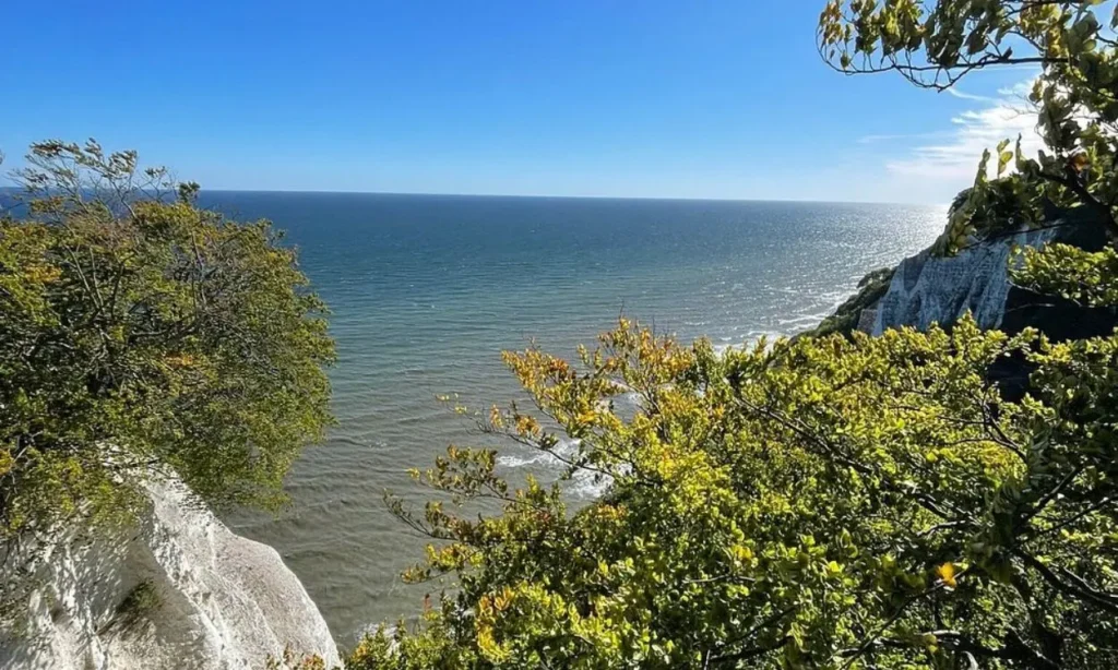 View of the sea and white chalk cliffs framed by green trees at Jasmund National Park.