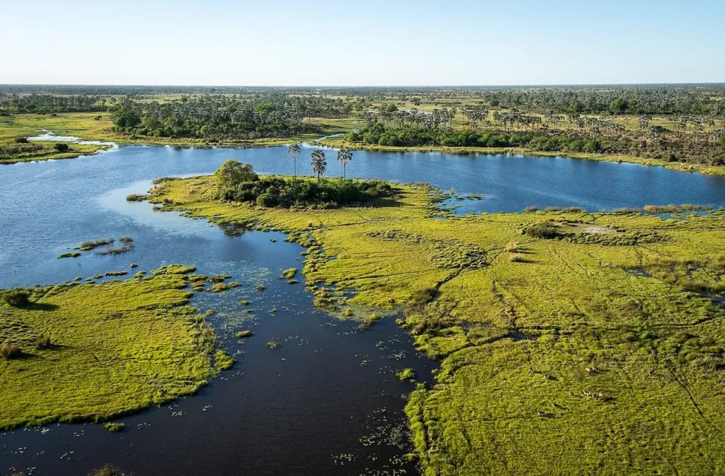 Okavango Delta