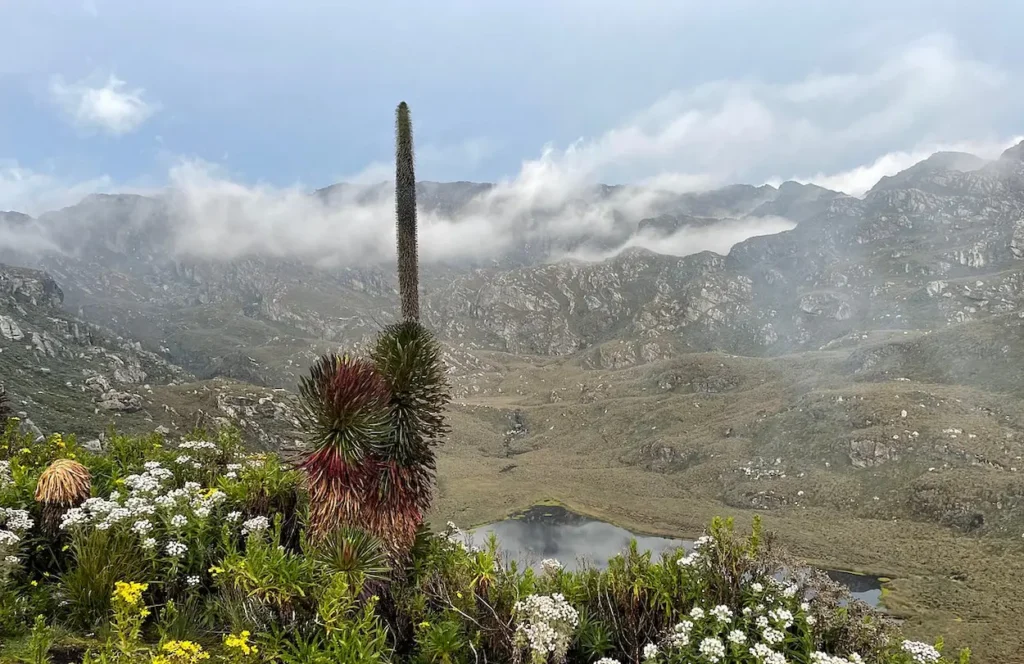 Rwenzori Mountaineering