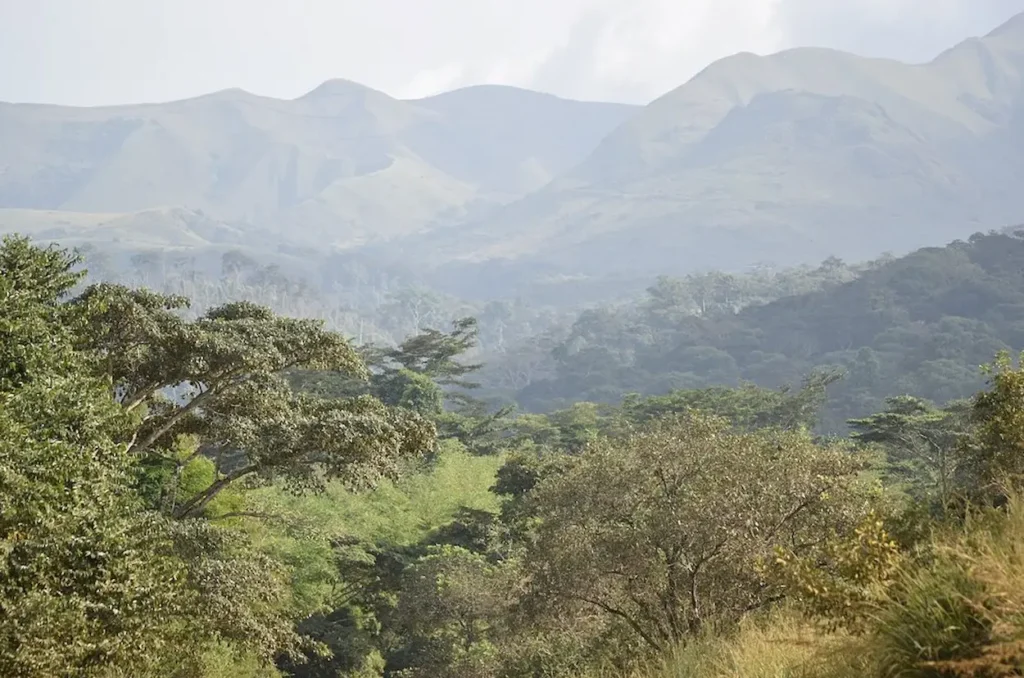 Mount Nimba Strict Nature Reserve