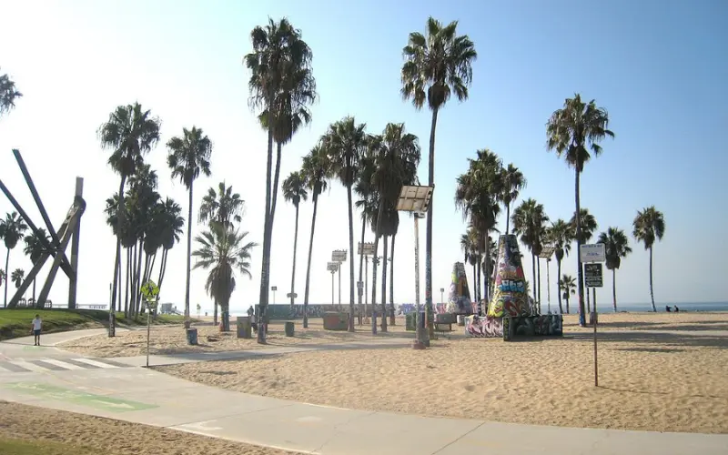 Venice Beach Boardwalk features palm trees and art installations on the sand.