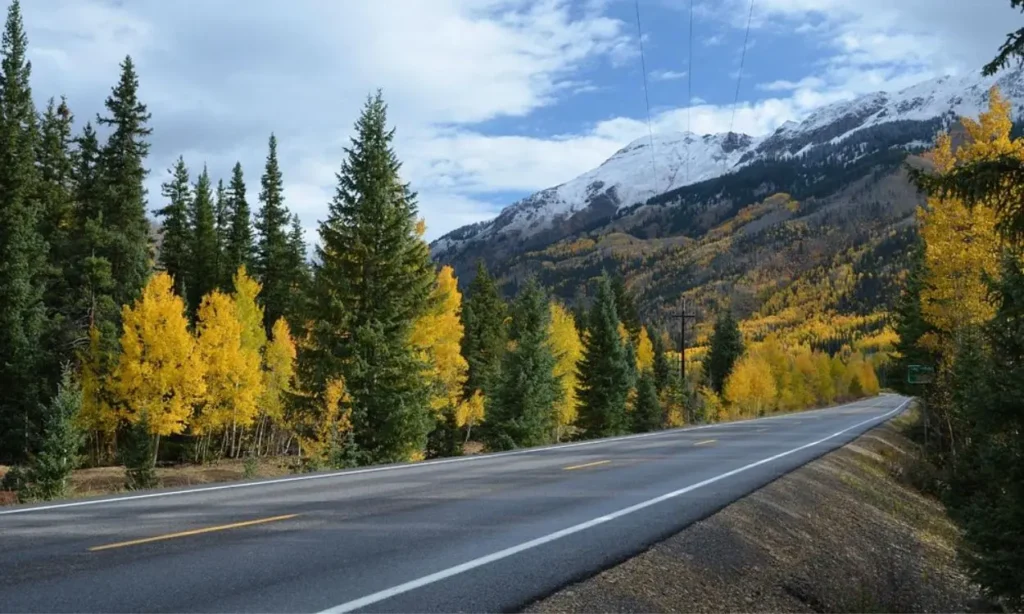 The Million Dollar Highway lined with yellow autumn trees and mountain views.