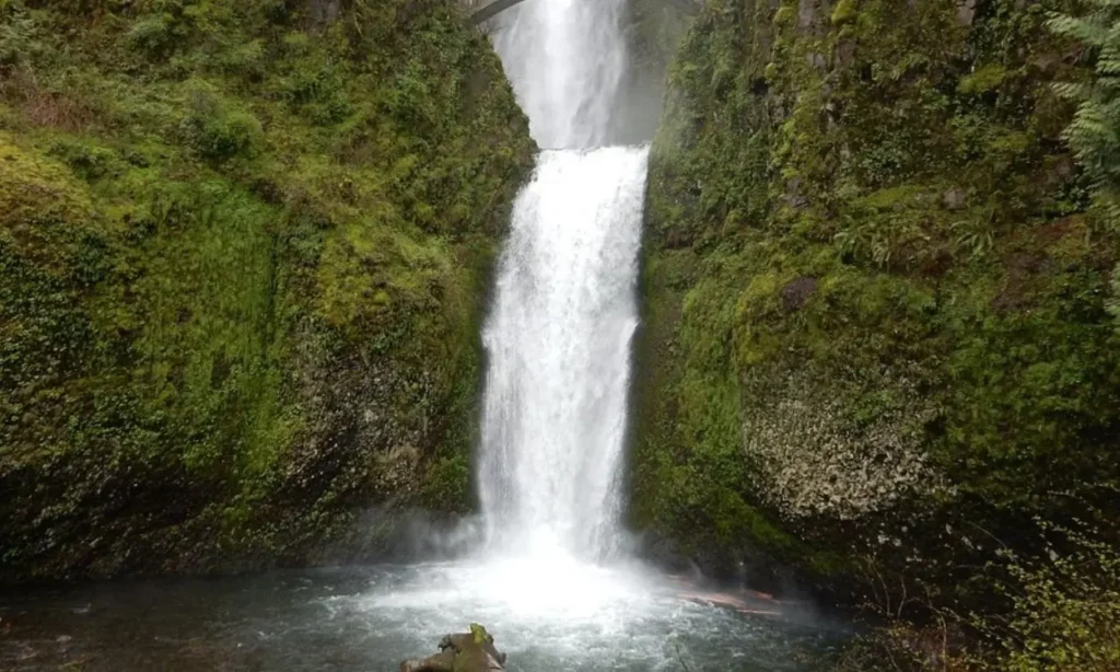 Water cascading down a mossy cliff at Multnomah Falls.