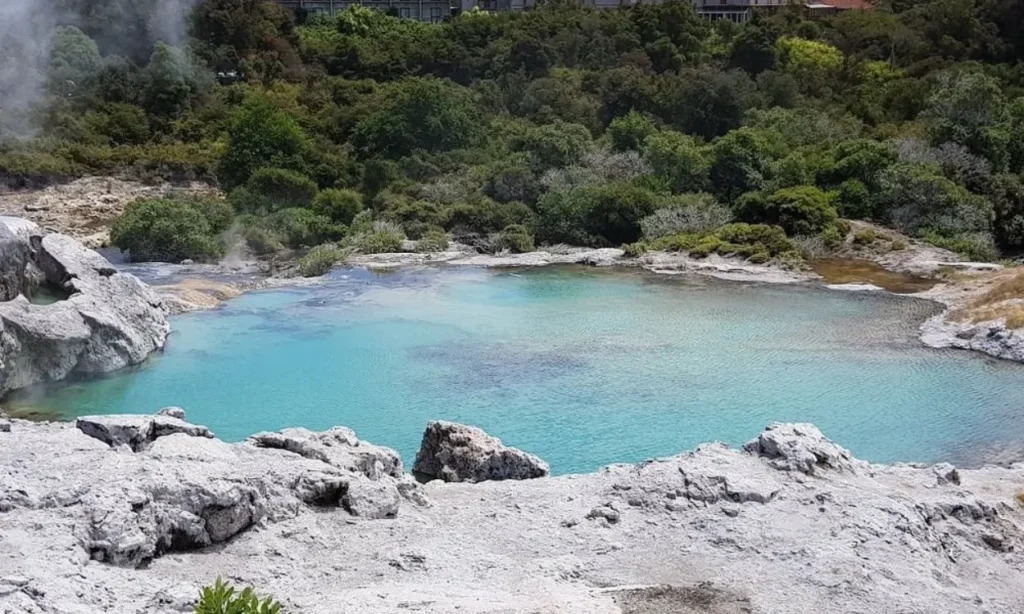 Geothermal hot spring pool with turquoise water surrounded by rocks and greenery in Rotorua.