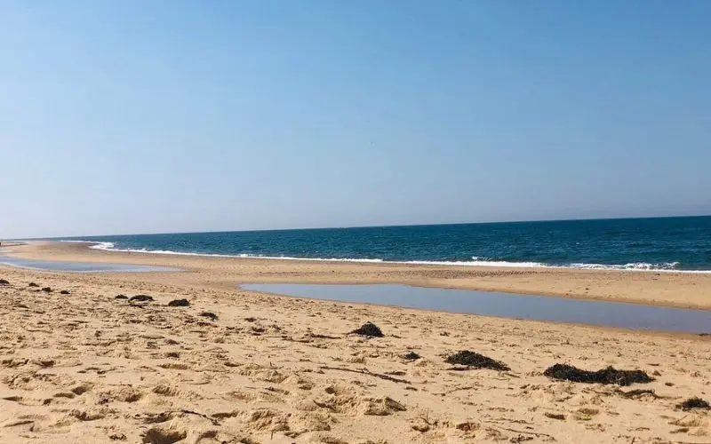Wide sandy shoreline and blue water at Herring Cove Beach.