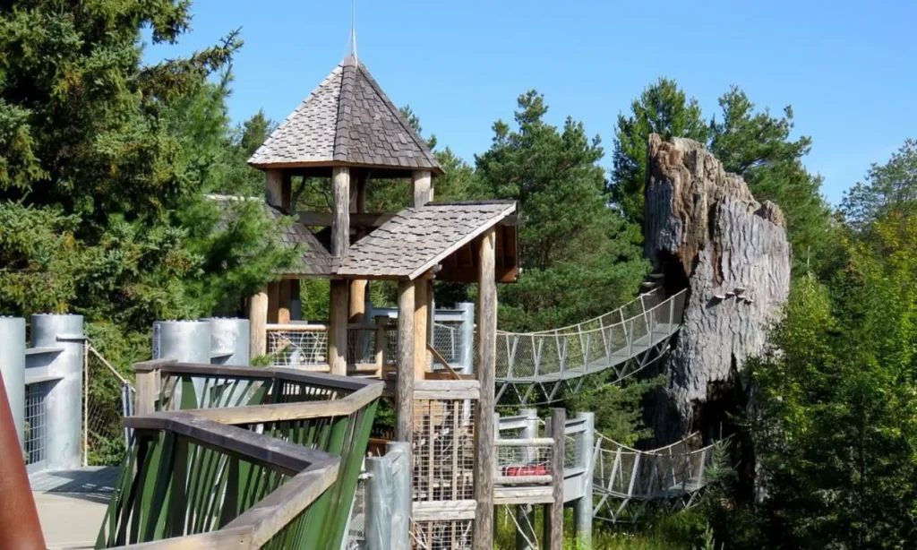A wooden walkway and rope bridge lead to a tall tree structure at The Wild Center.