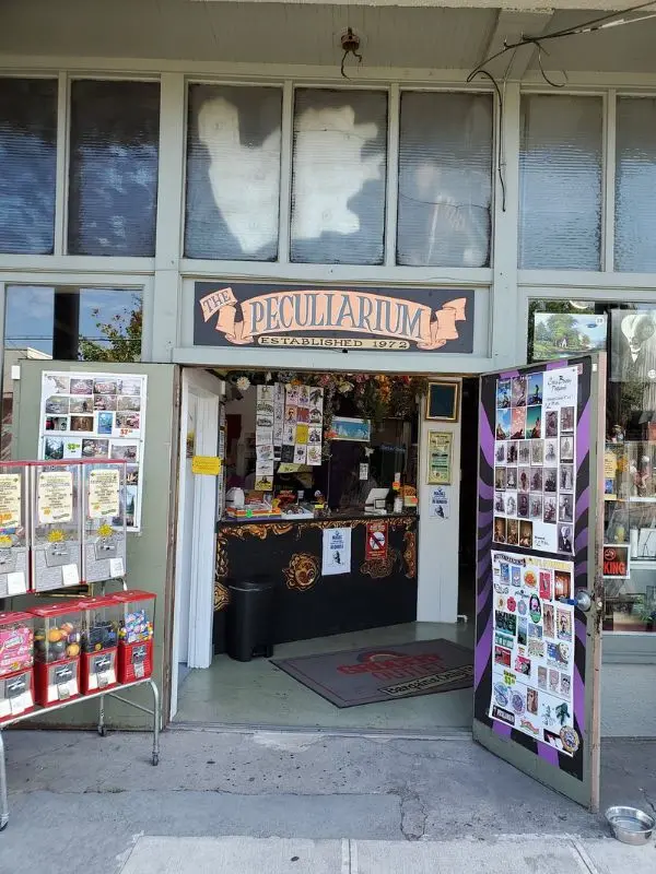 Colorful entrance of Freakybuttrue Peculiarium shop.