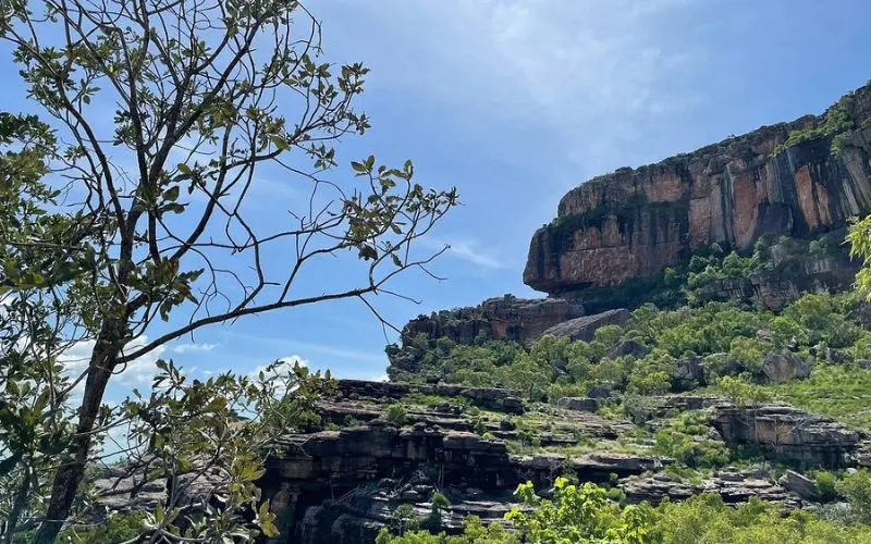 Rocky escarpment and greenery under a blue sky at Kakadu National Park.