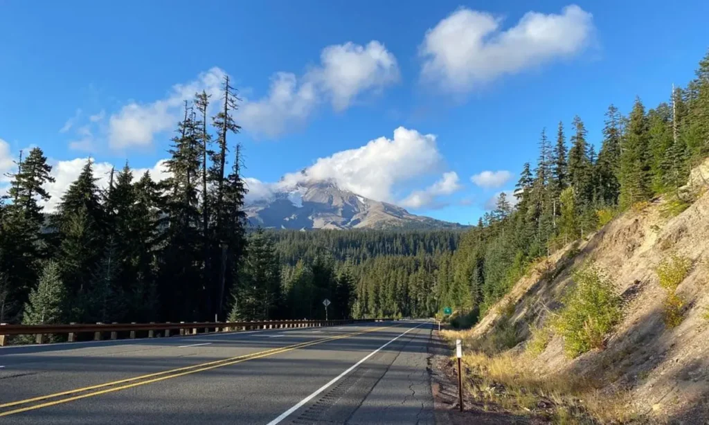 Scenic mountain view with trees and a clear road leading toward Mount Hood.