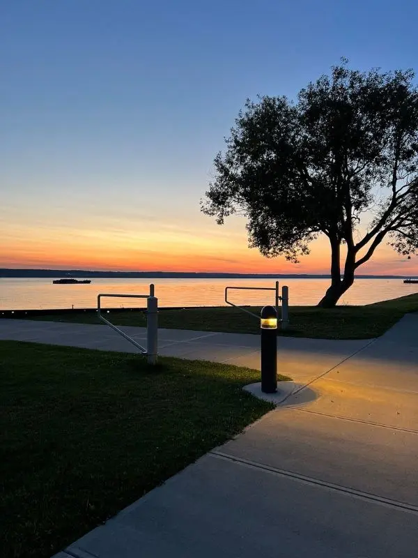 A sunset glows over Seneca Lake with a tree in the foreground.