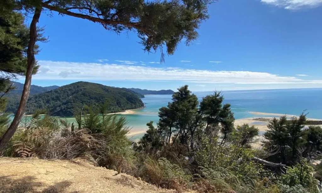 Overlook of forest, beach, and blue ocean in Abel Tasman National Park.