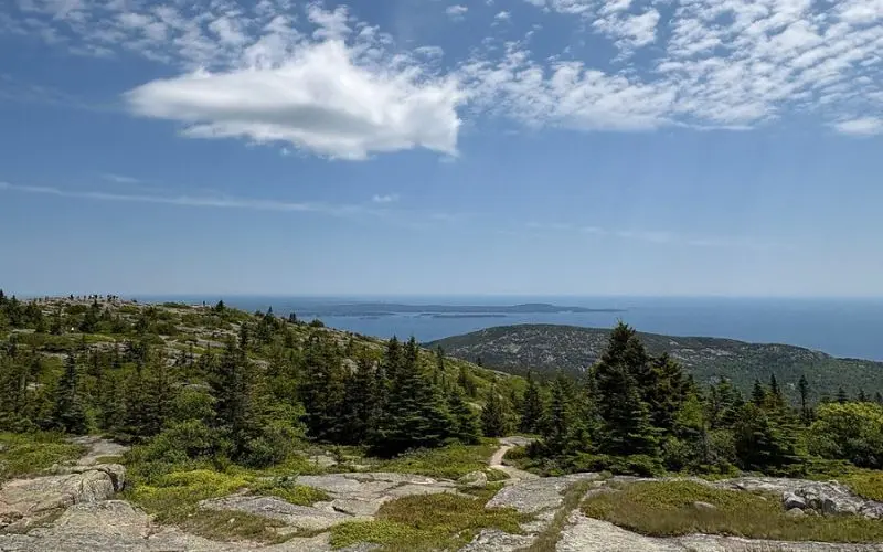 Rocky coastal view with forest and ocean in Acadia National Park.