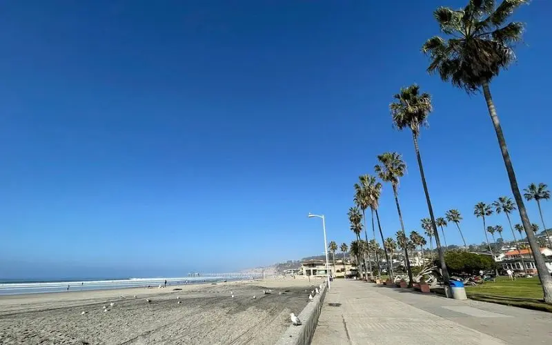 Palm-lined walkway beside the wide sandy La Jolla Shores Beach.