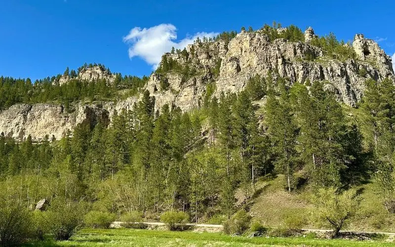 Steep cliffs and green pines fill Spearfish Canyon.