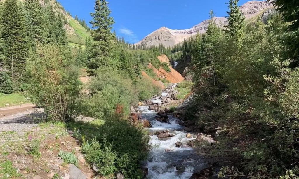 A flowing stream and green valley surrounded by peaks at Yankee Boy Basin.