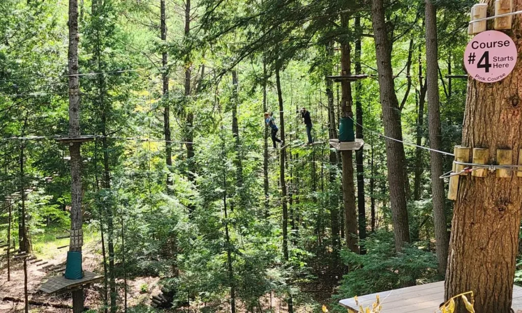 People cross a high ropes course among the trees at Adirondack Extreme Adventure Course.