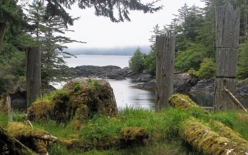 Mossy wooden poles by the water in Haida Gwaii.