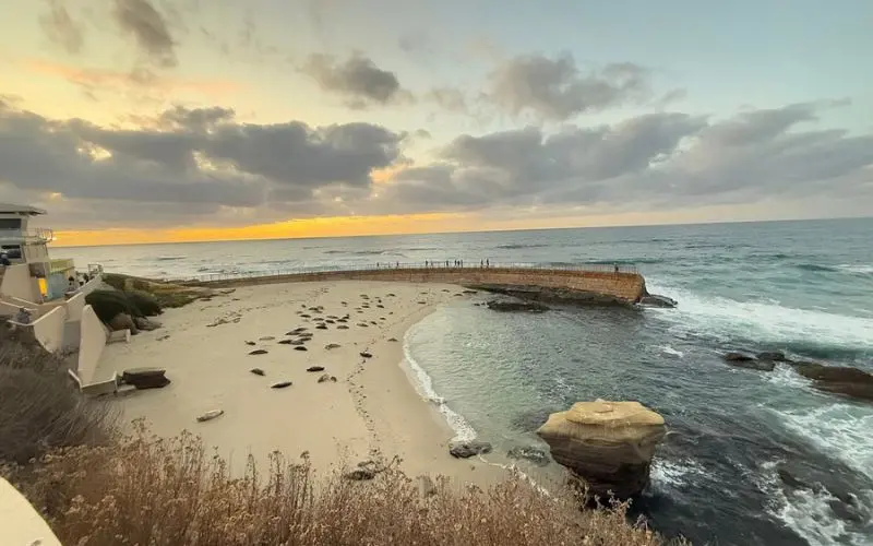 Sunset view of seals resting on the sand at La Jolla Tide Pools.