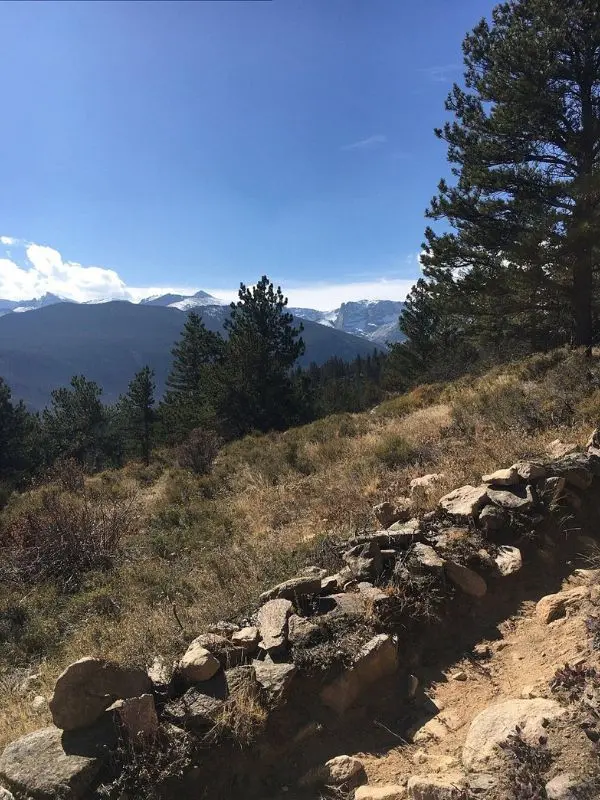 Meadow and trees with mountain views at Upper Beaver Meadows.
