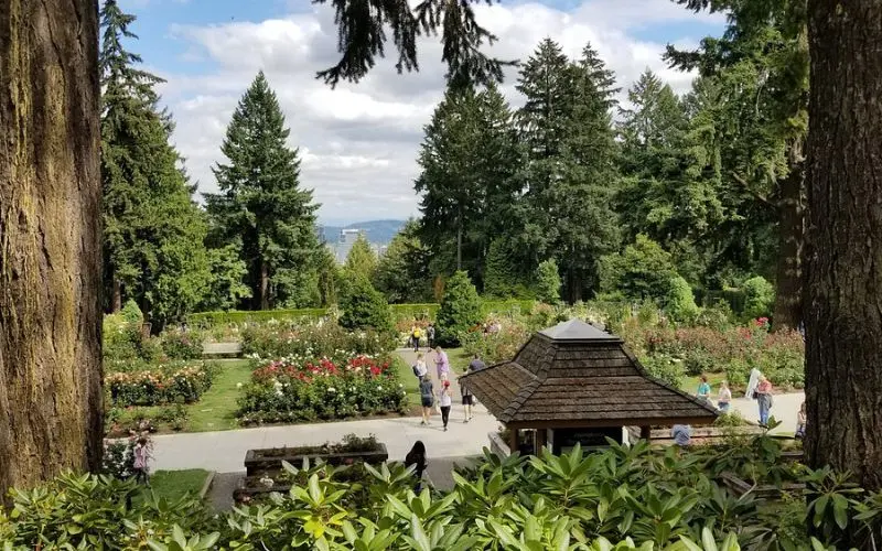 Scenic view of the International Rose Test Garden in Washington Park.