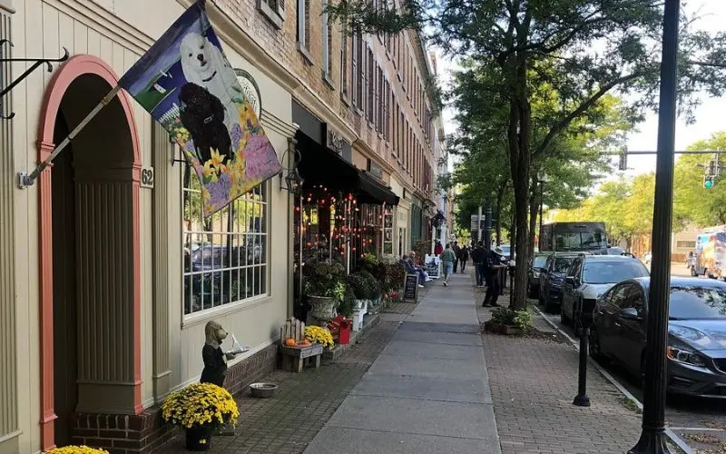 A charming street view of Skaneateles, lined with shops and flowers.