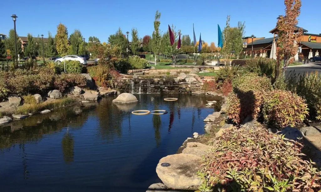 Peaceful pond surrounded by plants and colorful flags in Bend.