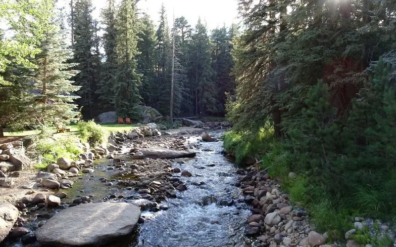 Flowing stream surrounded by rocks and pine trees at Boulder Brook.