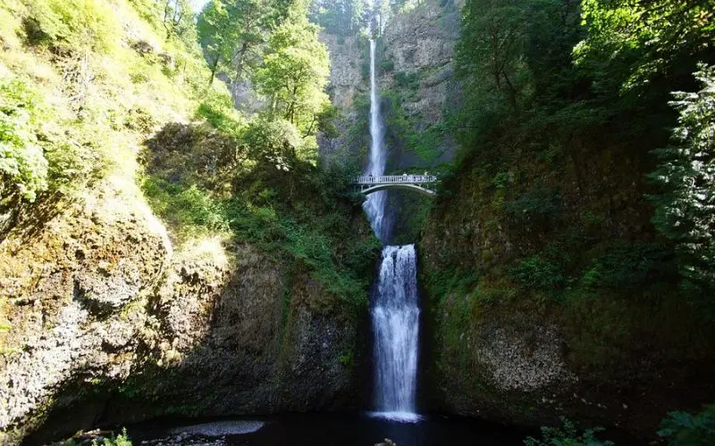 Multnomah Falls cascading beneath a footbridge in the Columbia River Gorge.