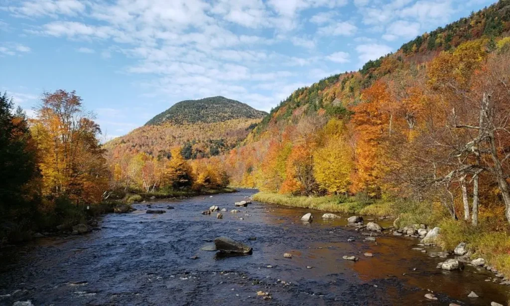 Colorful autumn trees line a river along the Adirondack Scenic Byways with mountains in the background.