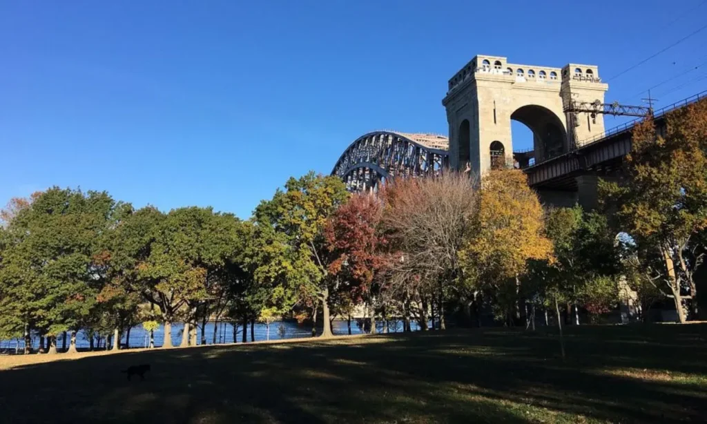 A view of the bridge and autumn trees at Astoria Park under a clear blue sky.