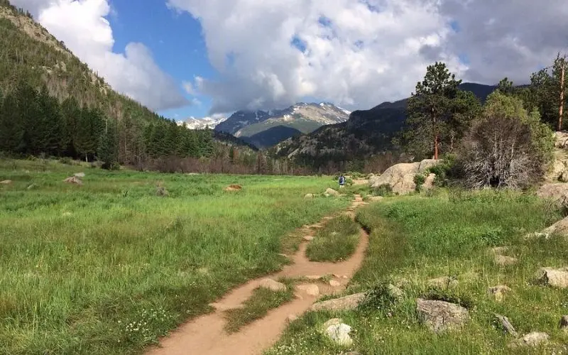 Dirt path through grassy meadows with mountains on the Cub Lake Trail.