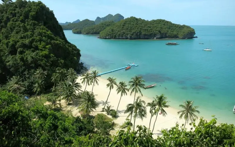 Palm trees line the sandy beach overlooking turquoise waters in Koh Samui.