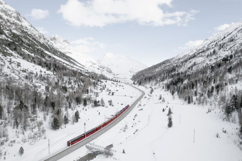 The Bernina Express making its way through a snowy landscape with tall evergreen trees