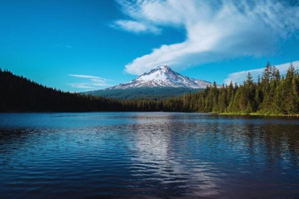 12 Amazingly Beautiful Places in the Pacific Northwest for Nature Lovers