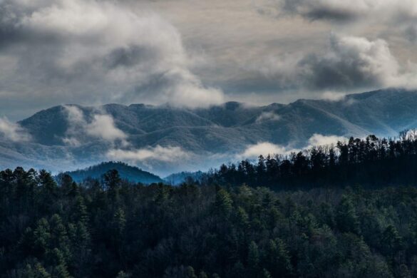 Exploring the Smoky Mountains in 2026: From Clingmans Dome to the SkyBridge