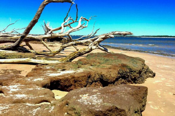 Why Amelia Island Is Florida’s Coastal Must-See: Historic Forts to Sunset Cruises