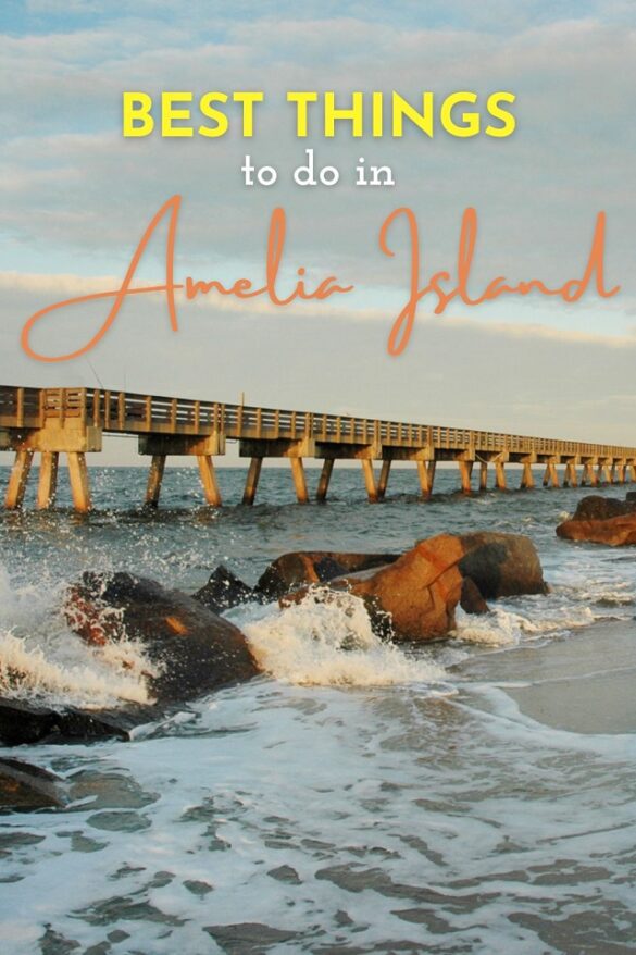 Best Things To Do In Amelia Island 12 Unique Attractions to Visit